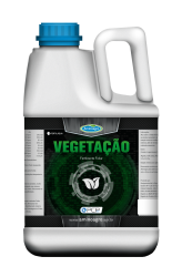 Vegetação 